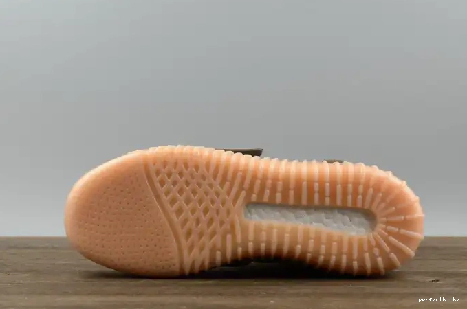 Yeezy Light adidas Brown BY2456 750 Boost 0601